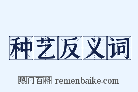 种艺反义词是什么意思的图片